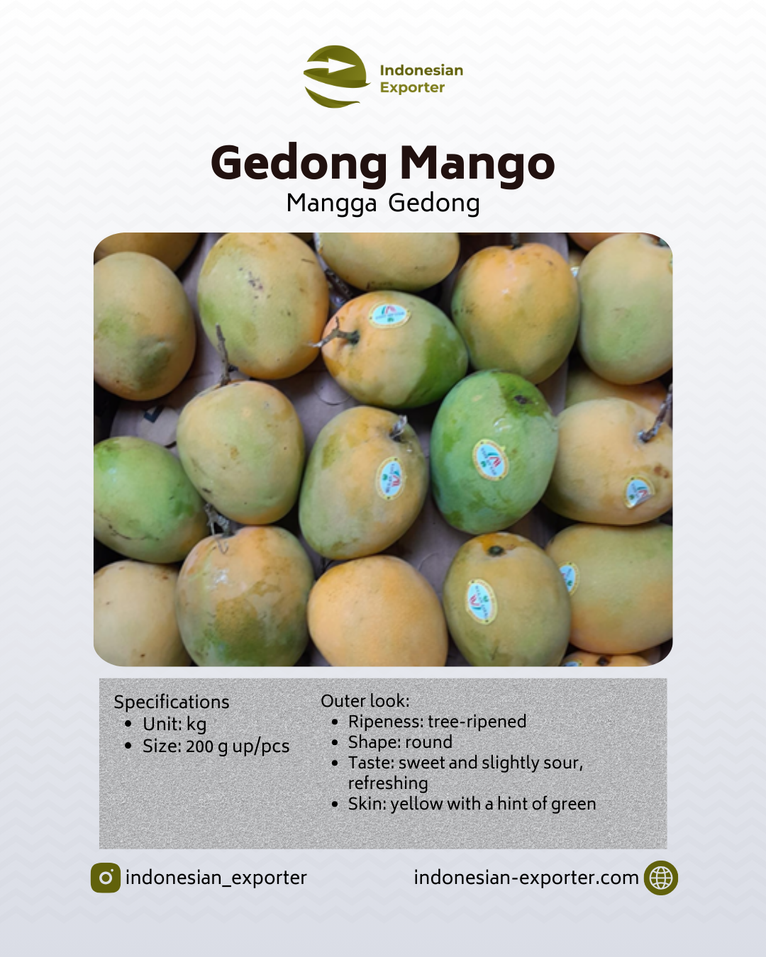 Mangga Gedong
